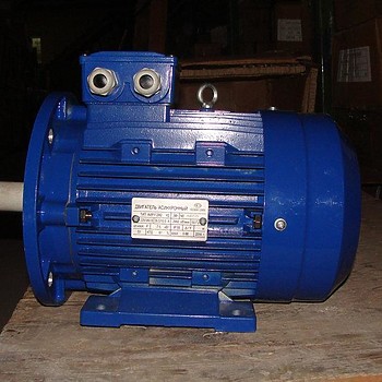 Электродвигатель АИР 315М6 (IM 1081) 132 кВт 1000 об/мин